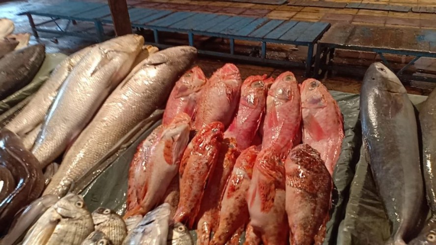أسعار الأسماك اليوم الأثنين 11-3-2019 بالإسكندرية