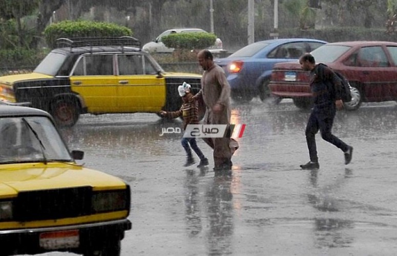 سقوط أمطار غزيرة الآن بالإسكندرية وانخفاض درجات الحرارة.. صور