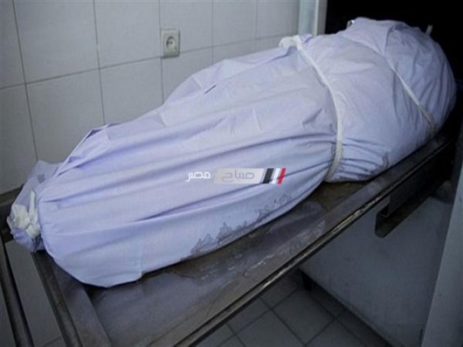 وفاة طفل وإصابة والداته في حادث سير بسوهاج