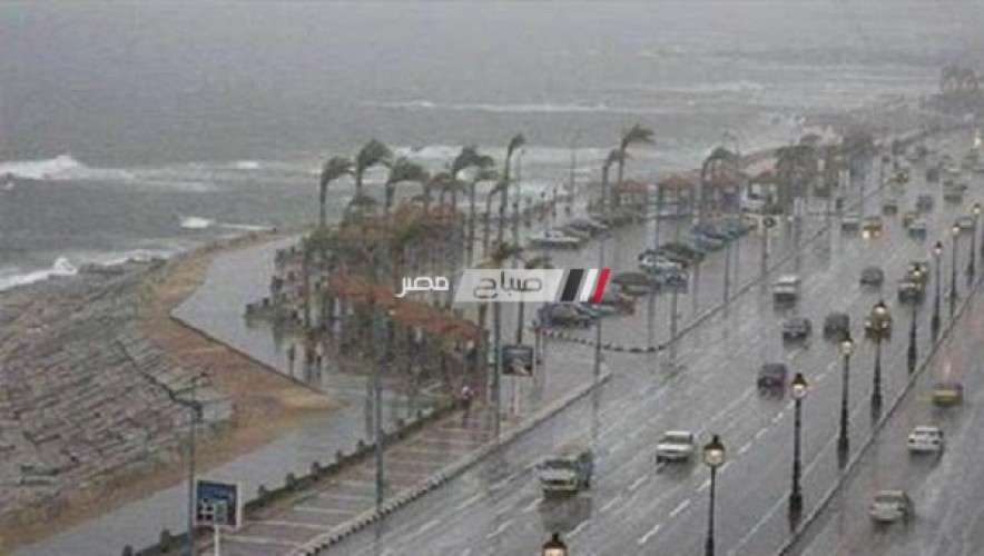 استمرار هطول الأمطار وانخفاض درجات الحرارة بالإسكندرية