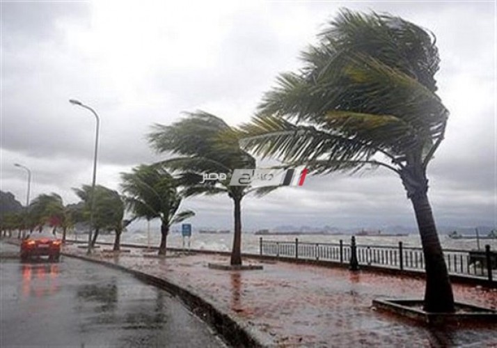 محافظة الإسكندرية تعلن الطوارئ وتحذر المواطنين من رياح شديدة وارتفاع الأمواج 6 أمتار