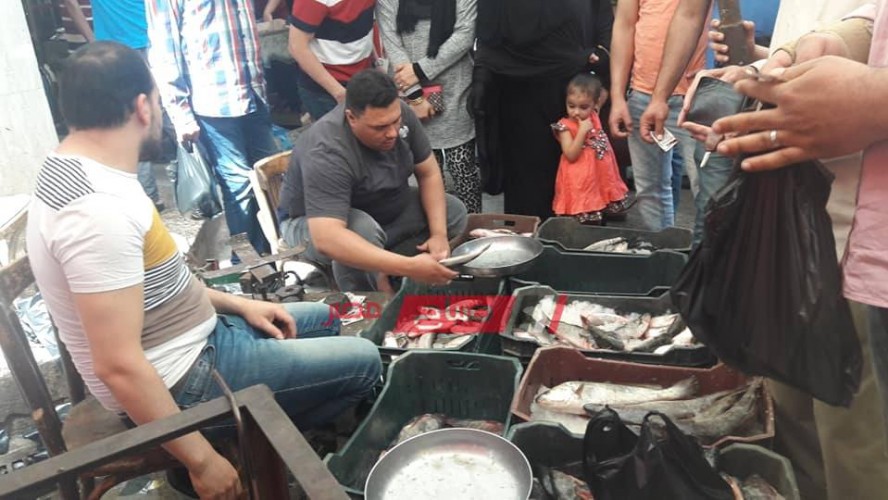 أسعار كل انواع الأسماك في محافظات مصر اليوم الجمعة 22-11-2019
