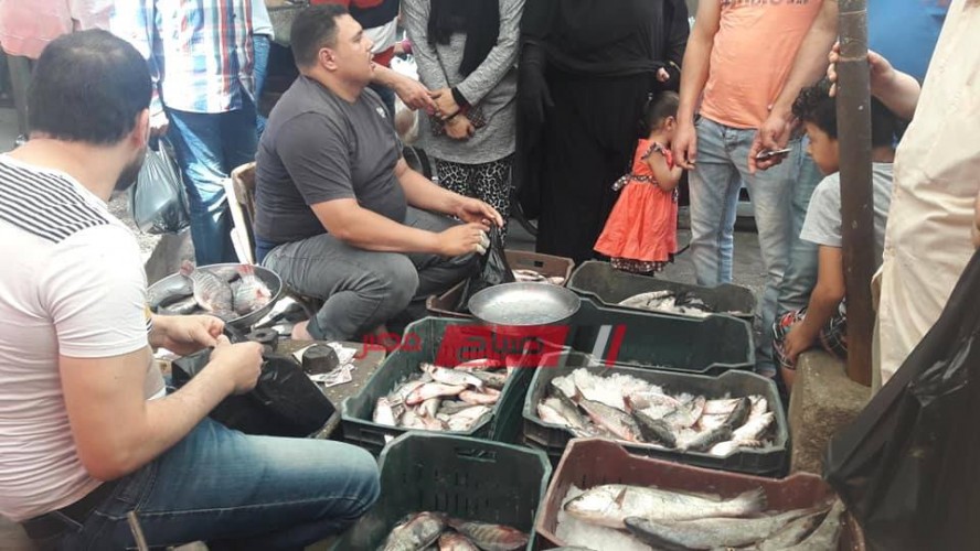 أسعار كافة أنواع الأسماك اليوم الإثنين 13-1-2020 في الأسواق المصرية