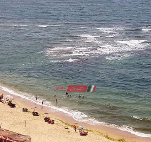 السياحة بالإسكندرية تنفي غرق 15 مواطنا بشاطىء النخيل.. ثلاثة فقط غرقي