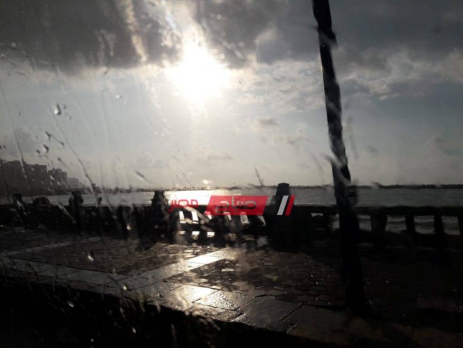 فيديو أمطار غزيرة مصحوبة برعد وبرق بالإسكندرية