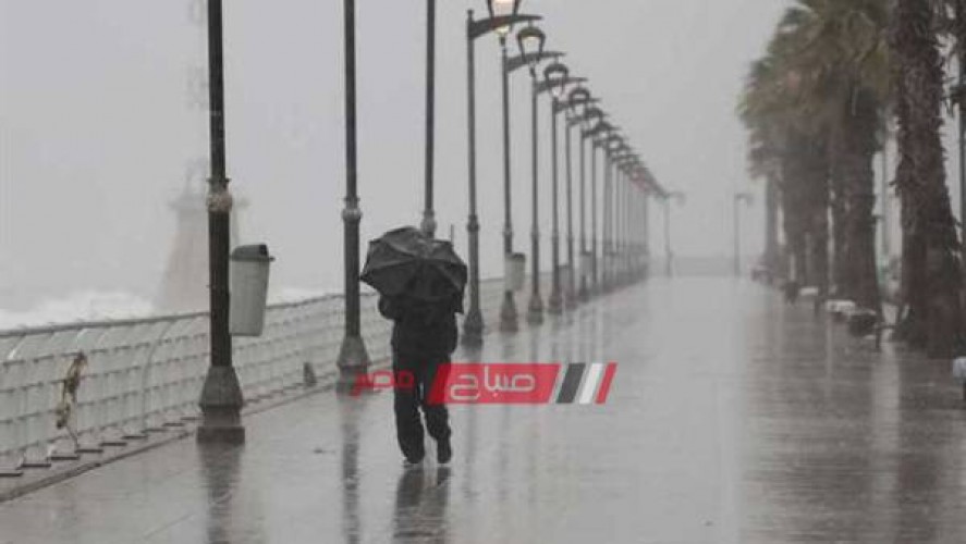 محافظة الإسكندرية ترفع درجة الاستعداد لمواجهة الأمطار