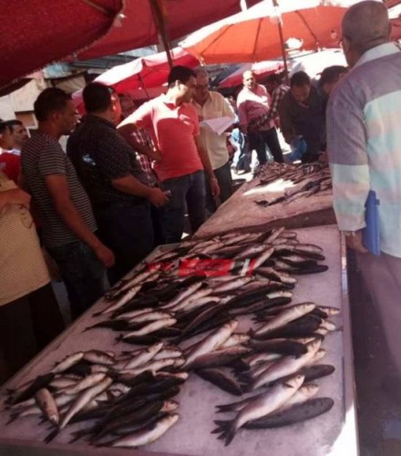 تباين أسعار الأسماك في سوق الجملة اليوم