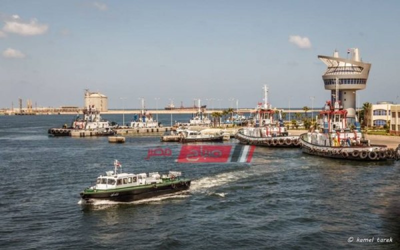 ميناء دمياط يستقبل 7 سفن حاويات وبضائع عامة و 92 سيارة نقل تغادر بحمولة 5716 طن قمح