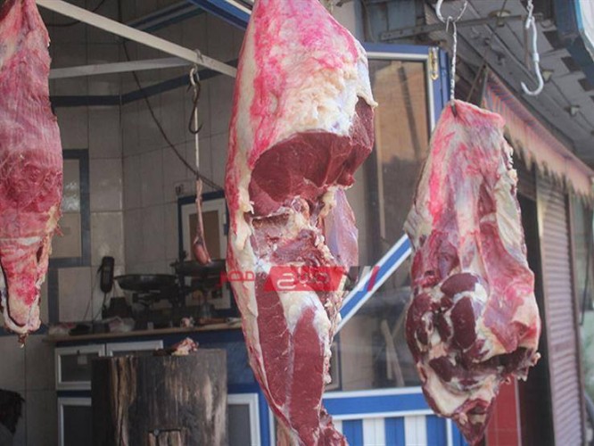 أسعار اللحوم البلدي والمستوردة اليوم الجمعة 1-11-2019 بالإسكندرية