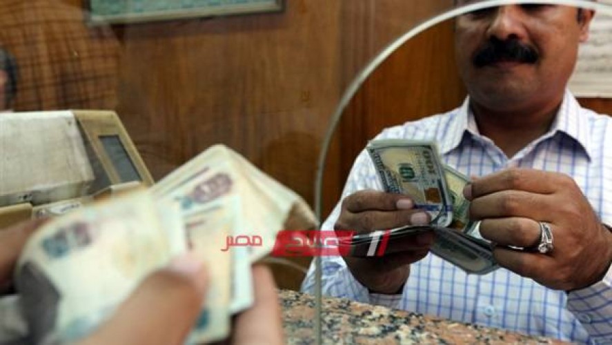 استقرار أسعار الدولار اليوم الخميس 3-8-2023 في السودان