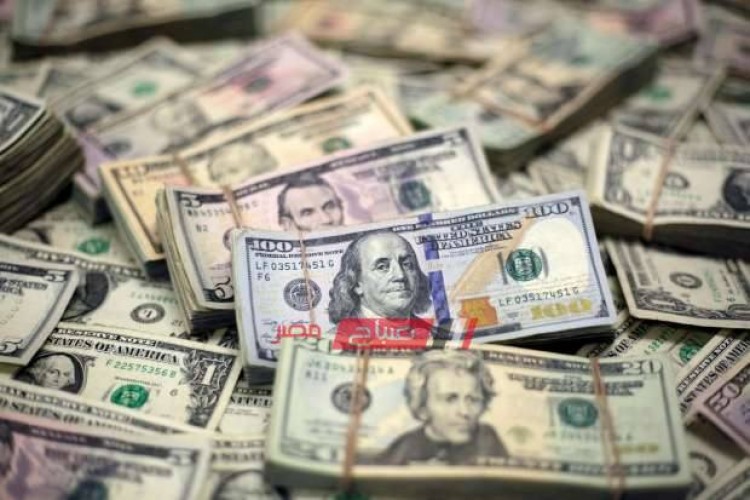 استقرار أسعار العملات اليوم الاحد 2-7-2023 في مقابل الجنيه المصري