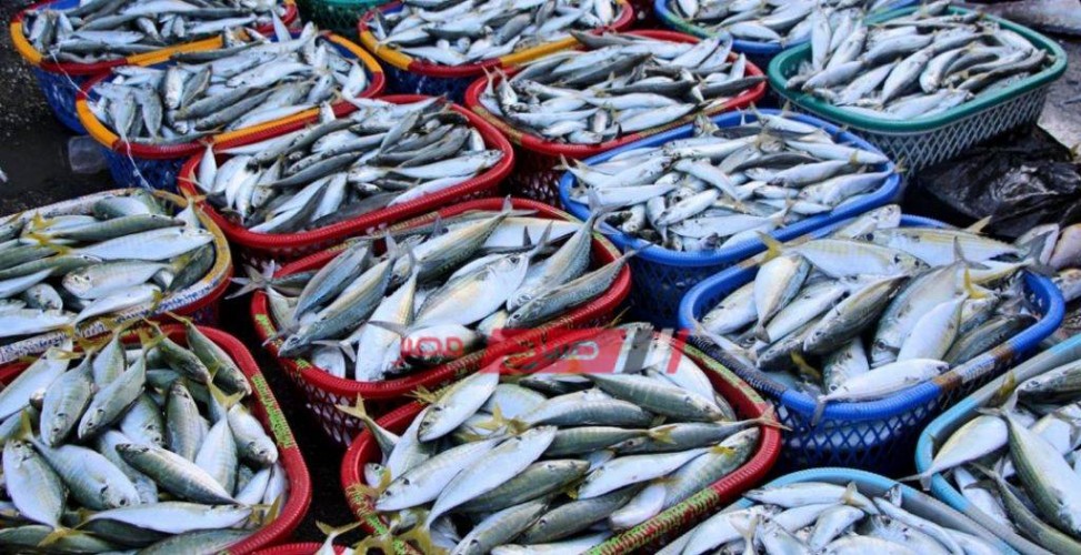 أسعار الأسماك في مصر اليوم السبت 17-4-2021