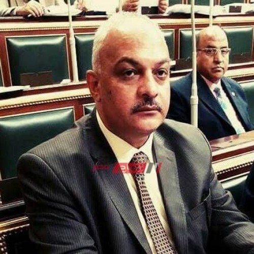 أمين حزب مستقبل وطن بأسوان يؤكد تنفيذ 3 محطات للشرب بادفو