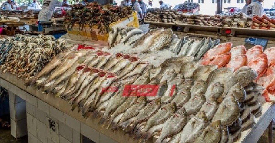 ارتفاع أسعار الأسماك في سوق الجملة اليوم الجمعة