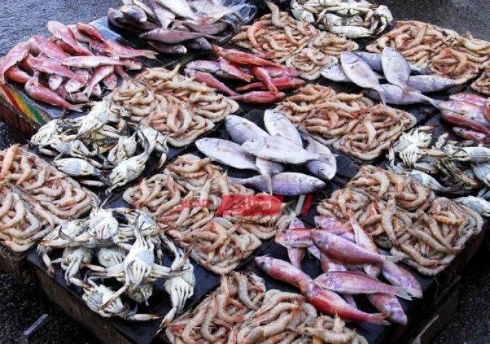 ننشر أسعار 15 نوعًا من الأسماك في سوق الجملة اليوم
