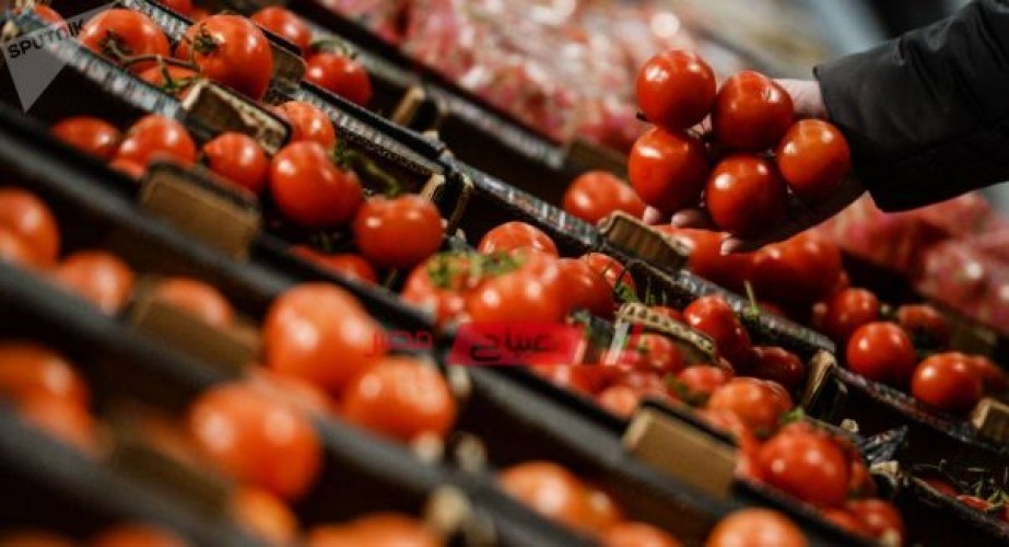 الطماطم تواصل ارتفاع أسعارها في سوق العبور اليوم