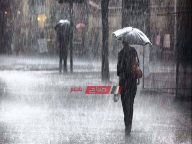 هيئة الأرصاد الجوية تعلن أماكن سقوط الأمطار في طقس اليوم .. تعرف عليها