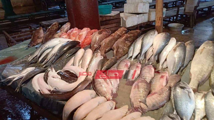 ننشر أسعار الأسماك في سوق العبور لجملة السمك اليوم الجمعة