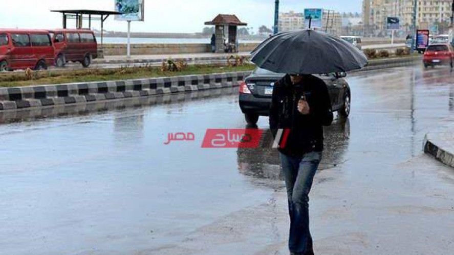 طقس الإسكندرية الآن: تساقط أمطار خفيفة وانخفاض درجات الحرارة