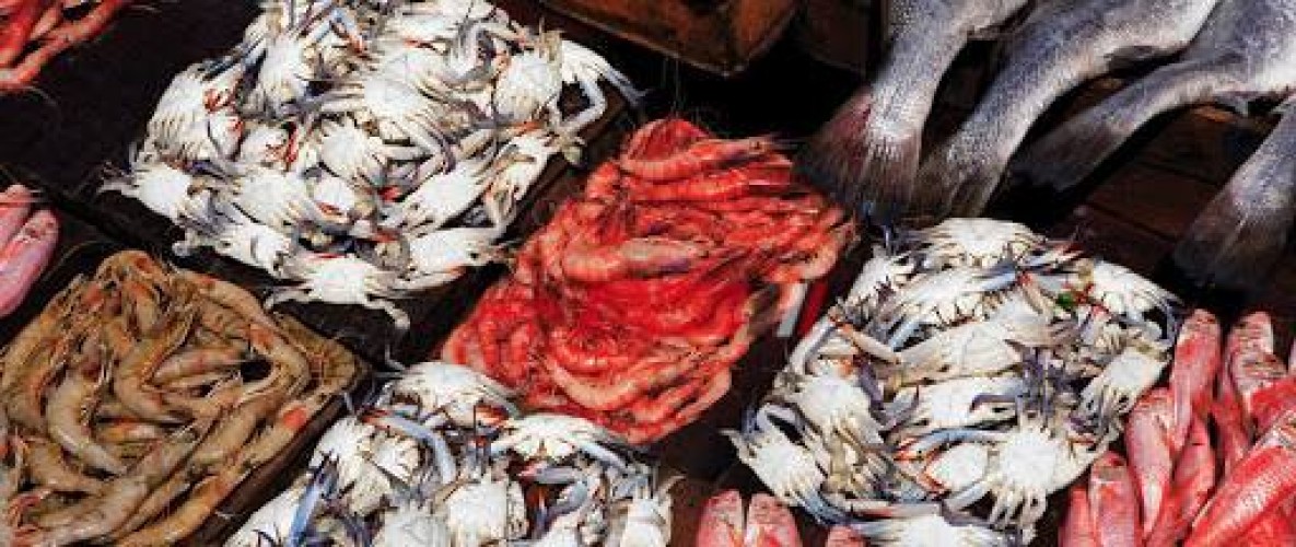 احدث أسعار الأسماك اليوم السبت 16-4-2022 بالكيلو في السوق المصري