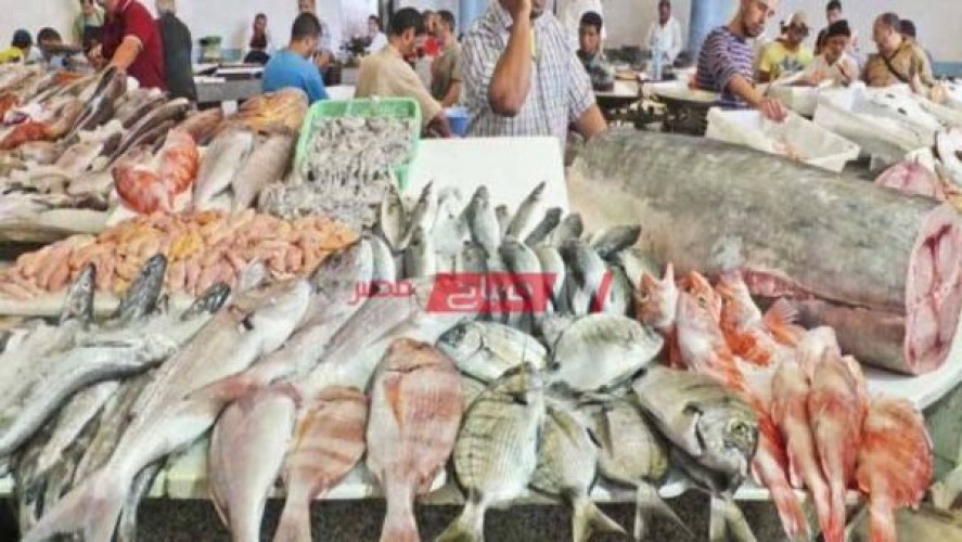 ننشر أسعار 20 نوعًا من الأسماك في سوق العبور اليوم