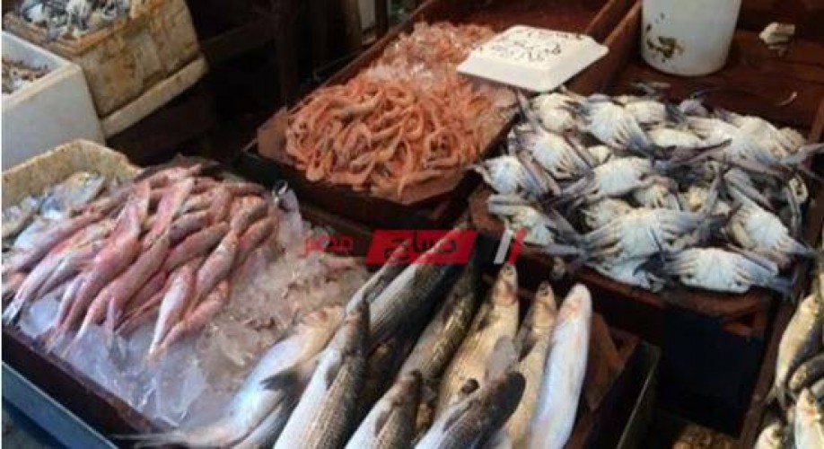متوسط أسعار كل انواع السمك بالكيلو اليوم الأحد
