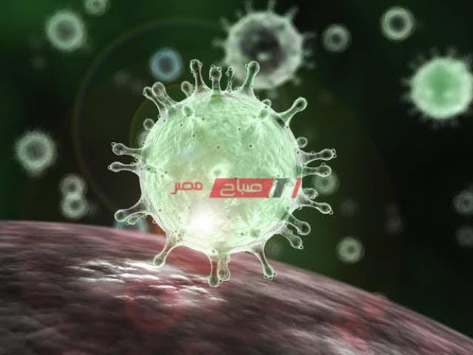 دورى جنوب أفريقيا يُسجل أول إصابة بفيروس كورونا