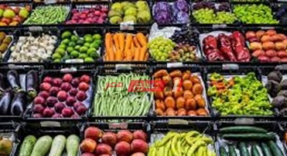 تعرف على احدث أسعار الخضروات اليوم الجمعة 10-11-2023 في اسواق مصر