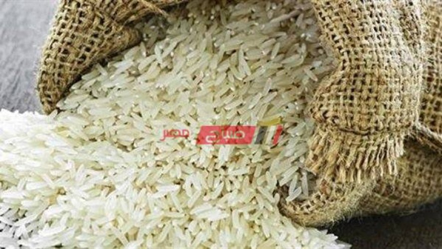 الحكومة تعيد النظر فى الحد من زراعة الأرز للحفاظ على حصة مصر المائية
