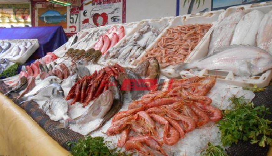 كل أسعار السمك في السوق المحلي النهاردة الثلاثاء 28-9-2021