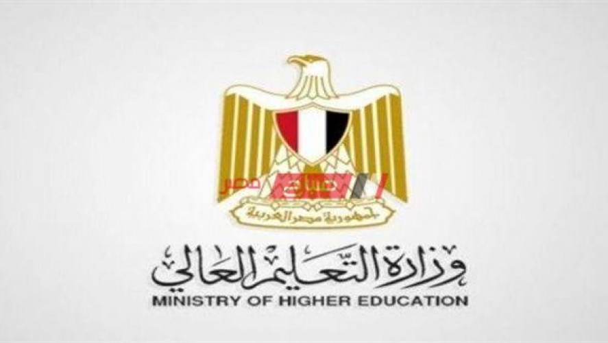 التعليم العالي: إحالة واقعة أستاذ معهد الخدمة الاجتماعية بالإسكندرية إلي النائب العام