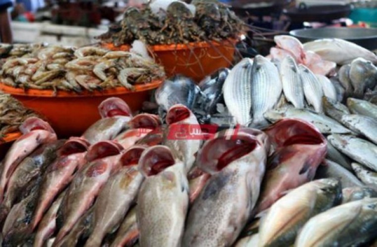تباين أسعار الأسماك في سوق الجملة اليوم