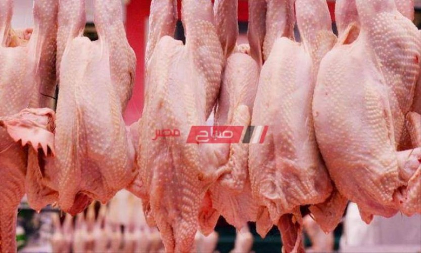 أسعار الدواجن لكل الأنواع في مصر اليوم الجمعة 5-11-2021