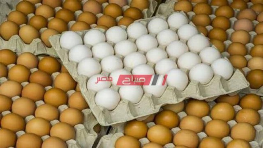 أسعار البيض بكل انواعه اليوم الأحد 28-2-2021 في السوق المصري