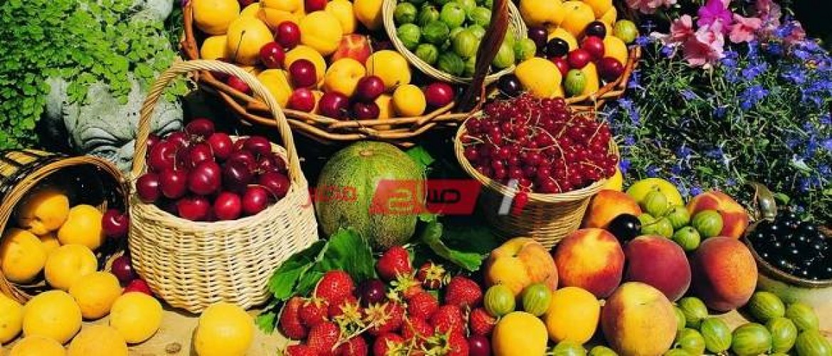 ننشر تفاصيل أسعار الفاكهة اليوم الخميس 13-7-2023 لكل الانواع في مصر