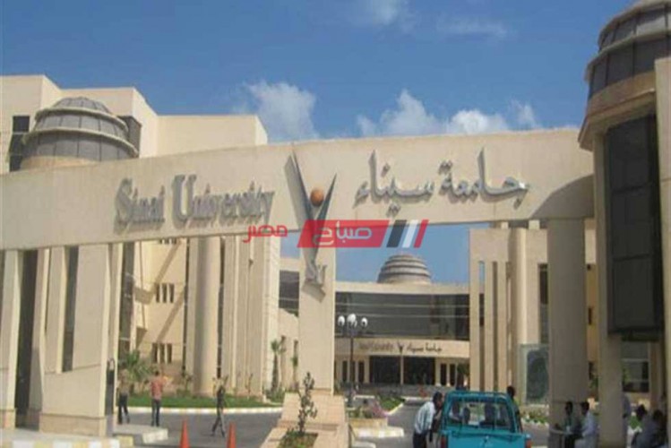التنسيق المتوقع كلية إدارة الأعمال جامعة سيناء 2020- 2021