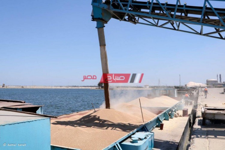 بالصور ميناء دمياط يعلن نقل شحنة قمح إلى صومعة امبابة للمرة الثانية عبر نهر النيل