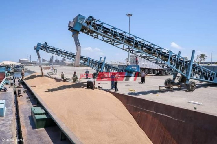 تصدير 15804 طن فوسفات و 600 طن مولاس عبر ميناء دمياط