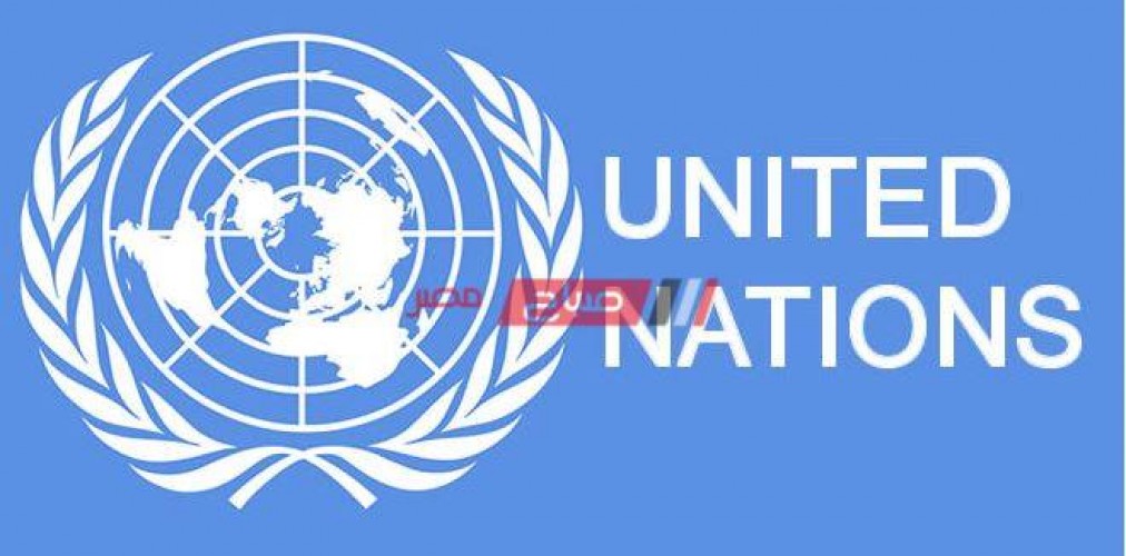 هل تشكل منظمة الأمم سلطة سياسية دولية