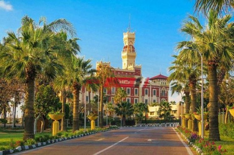 حدائق المنتزه تستقبل المواطنين فى الإسكندرية بدءً من أول سبتمبر