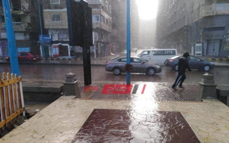 الإسكندرية تستعد لموجة من التقلبات الجوية وتساقط أمطار غزيرة يوم الأربعاء