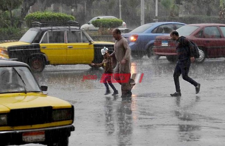 أول نوات الإسكندرية: هطول أمطار غزيرة وغرق شوارع جليم وكسر ماسورة مياه في سموحة