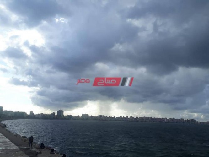 طقس الإسكندرية الآن: سحب ممطرة ورياح نشطة وانخفاض درجات الحرارة – فيديو