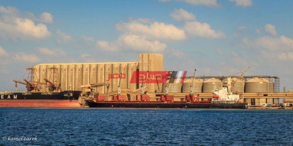 تصدير 197 طن كحول و 6518 طن فوسفات عبر ميناء دمياط خلال الـ 24 ساعة الأخيرة