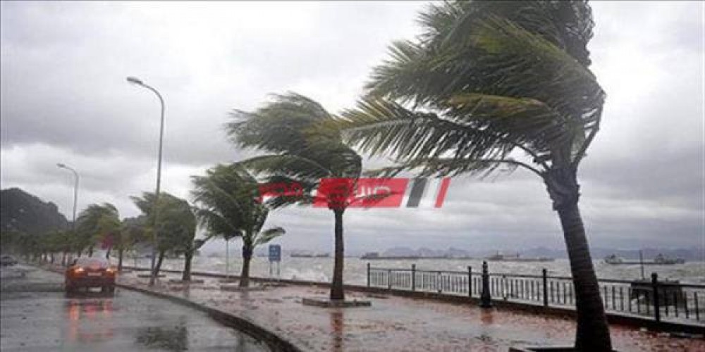 محافظة الإسكندرية تصدر بيان عاجل بشأن حالة الطقس خلال الـ 48 ساعة المقبلة