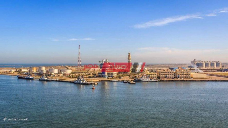 ميناء دمياط يعلن التعامل مع  19 سفينة وارتفاع رصيد صومعة الحبوب والغلال للقطاع العام الى 83.6 ألف طن