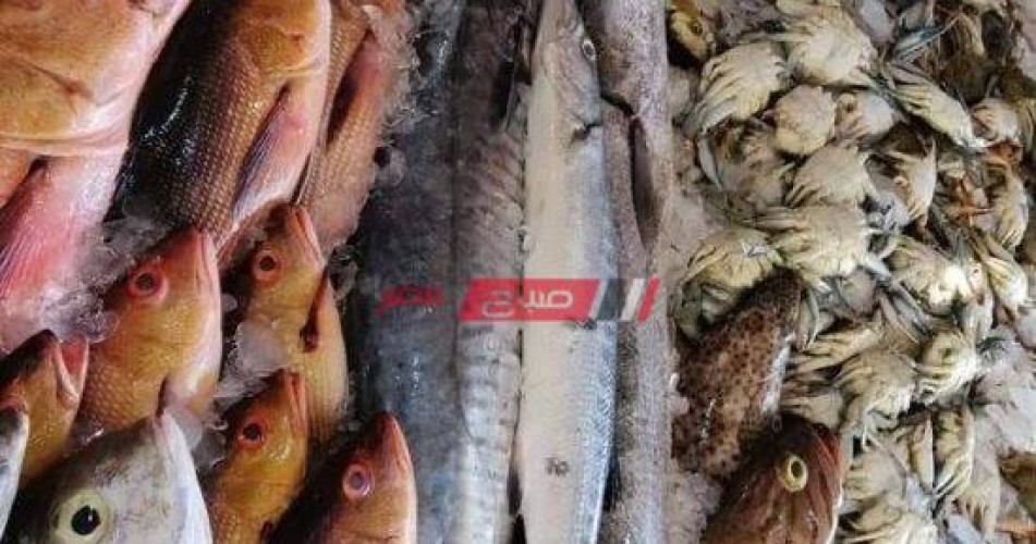 متوسط أسعار بيع السمك للمستهلك اليوم السبت 22 يناير الجاري 2022