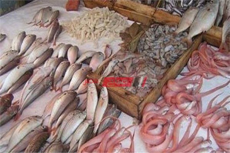 أسعار الأسماك اليوم الأثنين 26-4-2021 في الإسكندرية