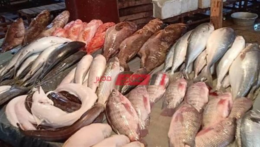 أسعار الأسماك اليوم السبت 17-4-2021 في الإسكندرية