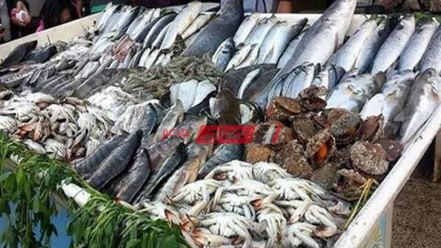 تفاصيل أسعار كل انواع السمك في مصر اليوم الخميس 2-12-2021